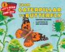 Image for From Caterpillar To Butterfly