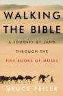 Image for Walking the Bible: an illustrated journey for kids through the greatest stories ever told