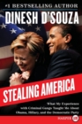 Image for Stealing America LP