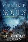 Image for Crucible of Souls: Book One of the Sorcery Ascendant Sequence