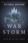 Image for War Storm : [4]