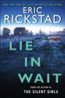 Image for Lie in wait: a novel