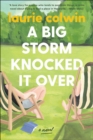 Image for A big storm knocked it over: a novel