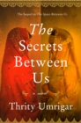 Image for Secrets Between Us: A Novel