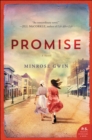 Image for Promise: A Novel