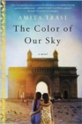 Image for The color of our sky  : a novel