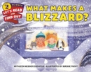 Image for What makes a blizzard?
