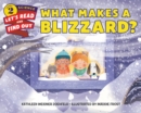 Image for What Makes a Blizzard?