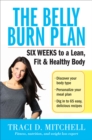 Image for Belly Burn Plan: Six Weeks to a Lean, Fit &amp; Healthy Body