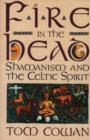 Image for Fire in the Head : Shamanism and the Celtic Spirit