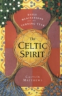Image for The Celtic Spirit: Daily Meditations for the Turning Year