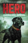 Image for Hurricane rescue