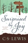 Image for Surprised by Joy : The Shape of My Early Life