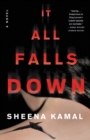 Image for It All Falls Down : A Novel