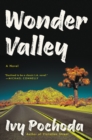 Image for Wonder Valley : A Novel