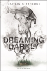 Image for Dreaming Darkly