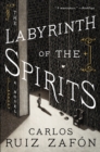 Image for Labyrinth of the Spirits