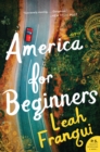 Image for America for beginners