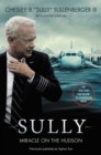 Image for Sully: my search for what really matters