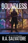 Image for Boundless: A Drizzt Novel