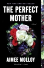 Image for Perfect Mother: A Novel