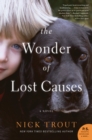 Image for The Wonder of Lost Causes : A Novel