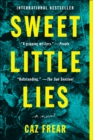 Image for Sweet little lies: a novel
