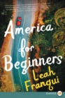 Image for America for Beginners : A Novel