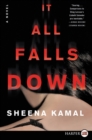 Image for It All Falls Down : A Novel