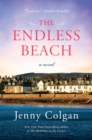 Image for The Endless Beach : A Novel
