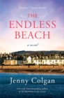 Image for The Endless Beach : A Novel
