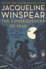 Image for Consequences of Fear: A Novel