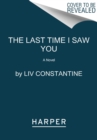 Image for The Last Time I Saw You : A Novel