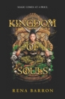 Image for Kingdom of Souls