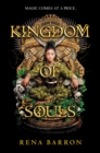 Image for Kingdom of Souls