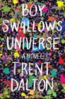 Image for Boy Swallows Universe : A Novel