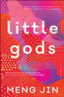 Image for Little Gods: A Novel