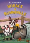 Image for Horace &amp; Bunwinkle: The Case of the Rascally Raccoon