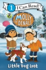 Image for Molly of Denali: Little Dog Lost
