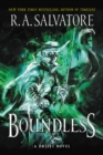Image for Boundless : A Drizzt Novel