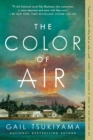 Image for The color of air  : a novel