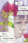 Image for The color of air: a novel
