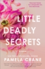 Image for Little Deadly Secrets: A Novel
