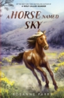 Image for Horse Named Sky