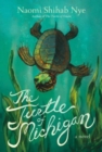 Image for The turtle of Michigan  : a novel