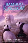 Image for Bamboo Kingdom #3: Journey to the Dragon Mountain