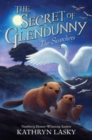 Image for The Secret of Glendunny #2: The Searchers