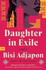 Image for Daughter in exile  : a novel