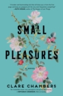 Image for Small Pleasures : A Novel