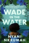 Image for Wade in the Water